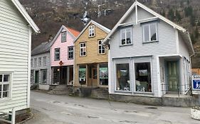 Old town boutiqe apartments/ Gamle Lærdalsøyri boutique leiligheter
